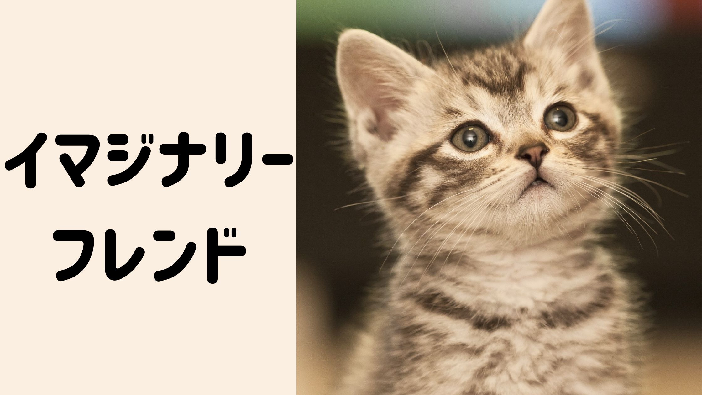 イマジナリーフレンドを持つ子どもと「親」の特徴について｜子どもが寝たら何しよう