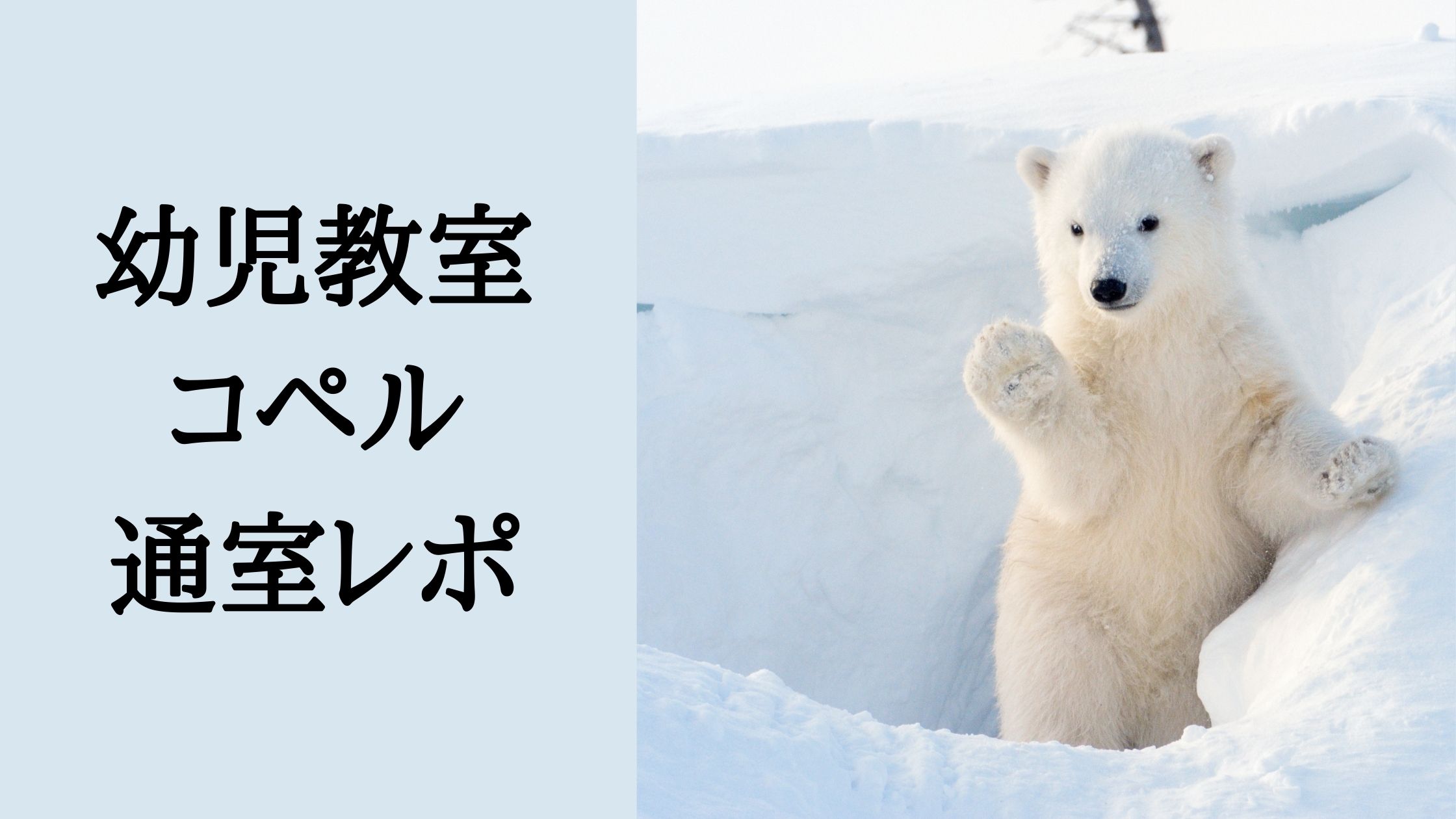 幼児教室コペルに2歳児と通って分かった宗教との関係と評判｜子どもが